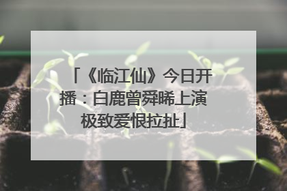 《临江仙》今日开播：白鹿曾舜晞上演极致爱恨拉扯