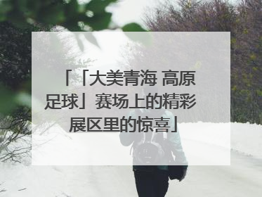「大美青海 高原足球」赛场上的精彩 展区里的惊喜