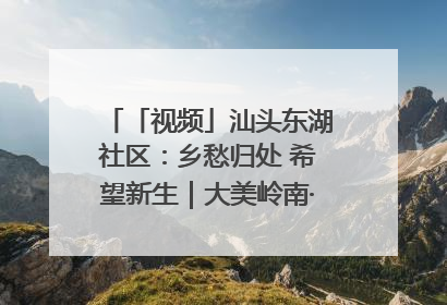 「视频」汕头东湖社区：乡愁归处 希望新生｜大美岭南·百村焕新记