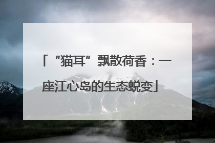 “猫耳”飘散荷香：一座江心岛的生态蜕变