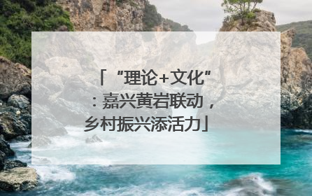 “理论+文化”：嘉兴黄岩联动，乡村振兴添活力
