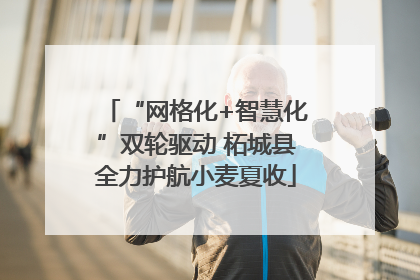 “网格化+智慧化”双轮驱动 柘城县全力护航小麦夏收