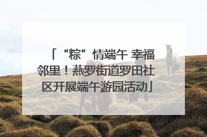 “粽”情端午 幸福邻里！燕罗街道罗田社区开展端午游园活动
