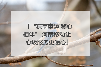 “粽享童趣 移心相伴” 河南移动让心级服务更暖心