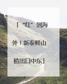 “红”到海外！新泰鲜山楂出口中东