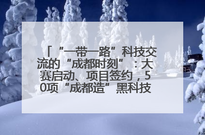 “一带一路”科技交流的“成都时刻”：大赛启动、项目签约，50项“成都造”黑科技吸引多国客商