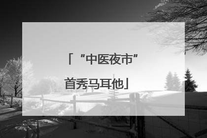 “中医夜市”首秀马耳他