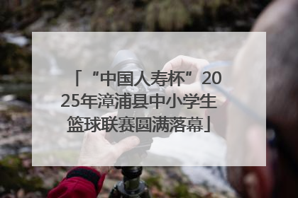 “中国人寿杯”2025年漳浦县中小学生篮球联赛圆满落幕