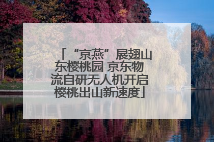 “京燕”展翅山东樱桃园 京东物流自研无人机开启樱桃出山新速度