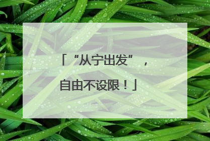 “从宁出发”，自由不设限！