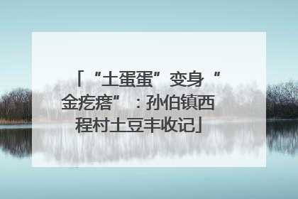 “土蛋蛋”变身“金疙瘩”：孙伯镇西程村土豆丰收记