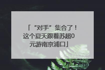 “对手”集合了！这个夏天跟着苏超0元游南京浦口