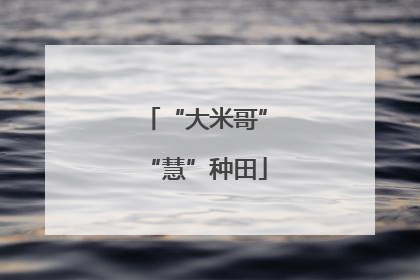 “大米哥”“慧”种田