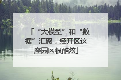 “大模型”和“数据”汇聚，经开区这座园区很酷炫