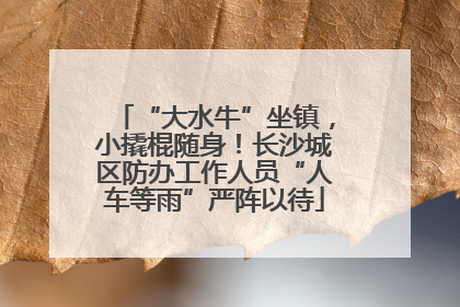“大水牛”坐镇，小撬棍随身！长沙城区防办工作人员“人车等雨”严阵以待