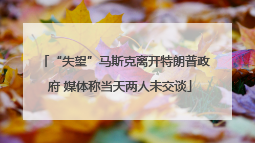 “失望”马斯克离开特朗普政府 媒体称当天两人未交谈