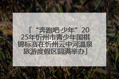 “奔跑吧·少年”2025年忻州市青少年围棋锦标赛在忻州云中河温泉旅游度假区圆满举办
