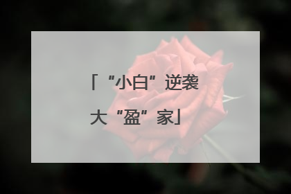 “小白”逆袭大“盈”家