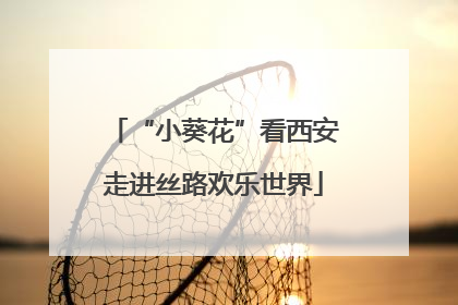 “小葵花”看西安走进丝路欢乐世界