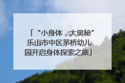 “小身体，大奥秘” 乐山市中区茅桥幼儿园开启身体探索之旅