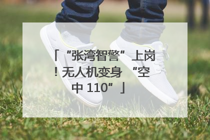 “张湾智警”上岗！无人机变身 “空中 110”