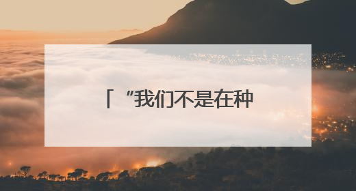 “我们不是在种地 而是在经营土地的无限可能”
