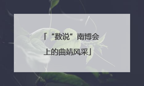 “数说”南博会上的曲靖风采
