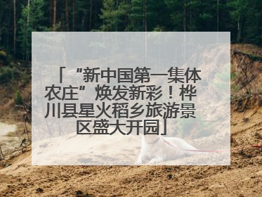 “新中国第一集体农庄”焕发新彩！桦川县星火稻乡旅游景区盛大开园