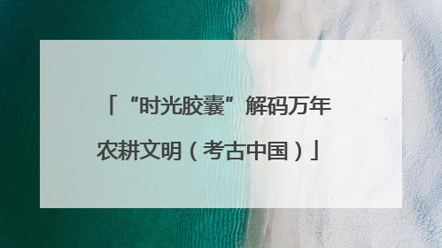 “时光胶囊”解码万年农耕文明（考古中国）