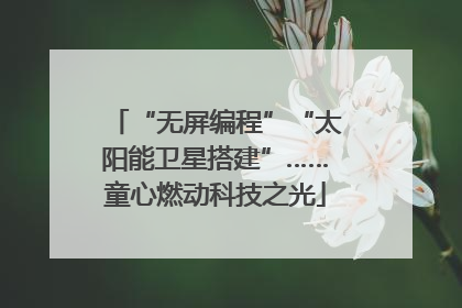 “无屏编程”“太阳能卫星搭建”……童心燃动科技之光