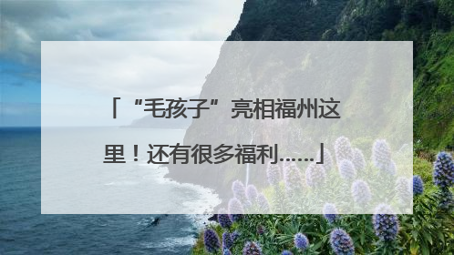 “毛孩子”亮相福州这里！还有很多福利……