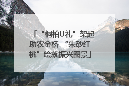 “桐柏U礼”架起助农金桥 “朱砂红桃”绘就振兴图景
