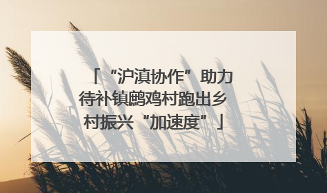 “沪滇协作”助力待补镇鹧鸡村跑出乡村振兴“加速度”