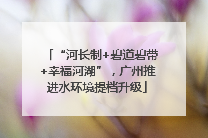 “河长制+碧道碧带+幸福河湖”，广州推进水环境提档升级