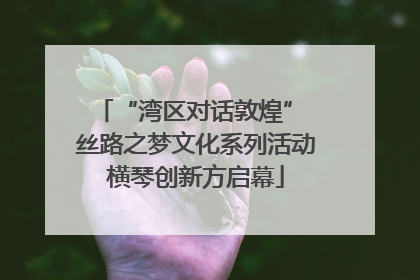“湾区对话敦煌” 丝路之梦文化系列活动横琴创新方启幕