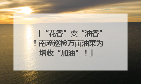 “花香”变“油香”！南漳巡检万亩油菜为增收“加油”！