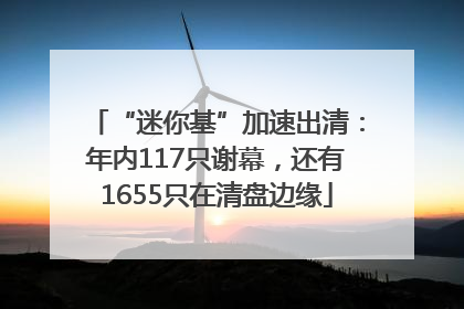 “迷你基”加速出清：年内117只谢幕，还有1655只在清盘边缘