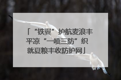 “铁翼”护航麦浪丰 平凉“一喷三防”织就夏粮丰收防护网