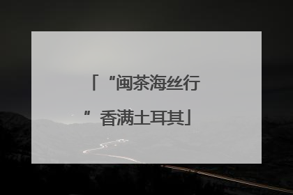 “闽茶海丝行”香满土耳其
