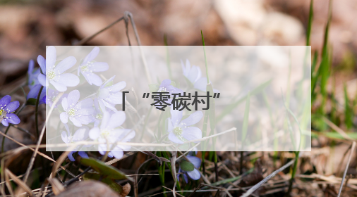 “零碳村” 绘就绿色画卷
