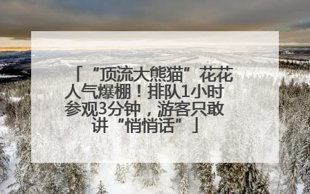“顶流大熊猫”花花人气爆棚！排队1小时参观3分钟，游客只敢讲“悄悄话”