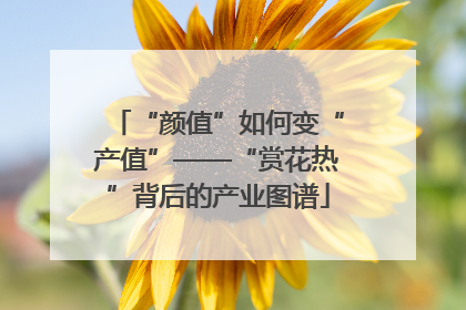 “颜值”如何变“产值”——“赏花热”背后的产业图谱