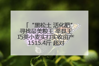 “黑松土 活化肥”寻找最美粮王 莘县王巧英小麦实打实收亩产1515.4斤 超对照田144斤！