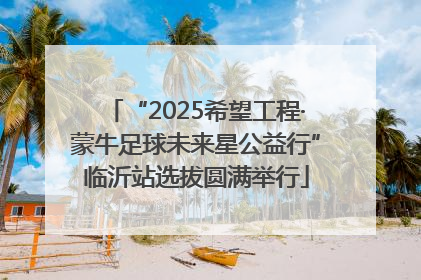 “2025希望工程·蒙牛足球未来星公益行”临沂站选拔圆满举行