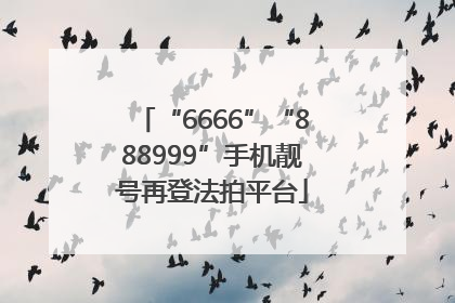 “6666”“888999”手机靓号再登法拍平台