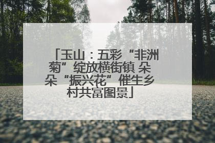 玉山：五彩“非洲菊”绽放横街镇 朵朵“振兴花”催生乡村共富图景