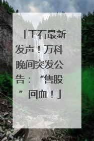 王石最新发声！万科晚间突发公告：“售股”回血！