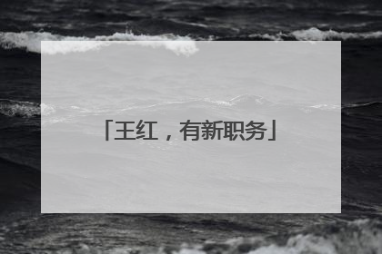 王红，有新职务