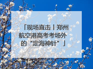 现场直击丨郑州航空港高考考场外的“定海神针”