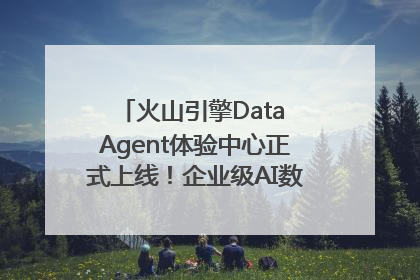 火山引擎Data Agent体验中心正式上线！企业级AI数据专家触手可及